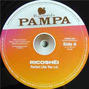 Ricoshëi, Dave DK - Perfect Like You / Woolloomooloo album flac