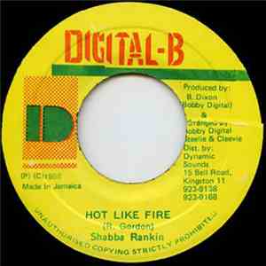 Shabba Rankin - Hot Like Fire album flac