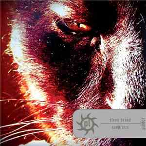 Steve Brand - Sunprints album flac