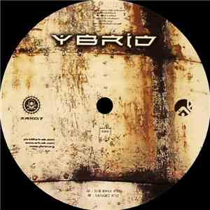 Ybrid - Untitled album flac