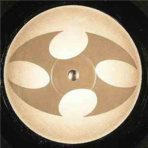 Dataset - Infusion / Disco Beat album flac