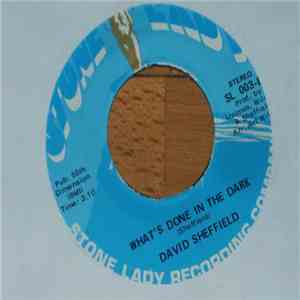 David Sheffield - I Should Have Listened / What's Done In The Dark album flac
