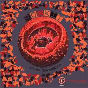 David Zaragoza - Rockit album flac