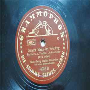 Hans Georg Schütz, Heyn-Quartett - Und Im Grase Lag Eine Grille / Junger Mann Im Frühling album flac