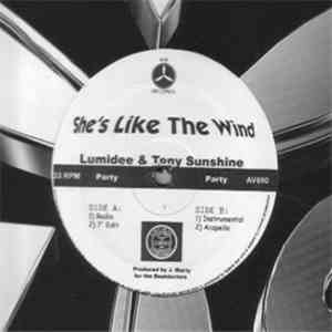 Lumidee & Tony Sunshine - She's Like The Wind album flac