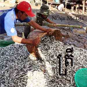 Ninja McTits - ត្រី album flac