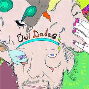 Owl Dudes - For The Feelers album flac