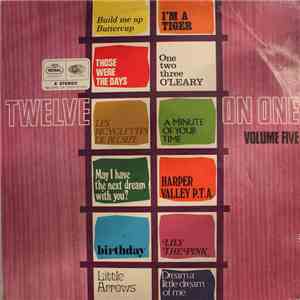 Unknown Artist - Twelve On One Volume Five album flac
