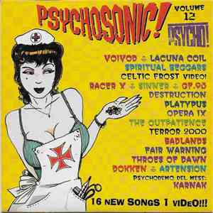 Various - Psychosonic! Volume 12 album flac