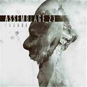 Assemblage 23 - Endure album flac