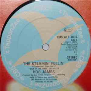 Bob James - The Steamin' Feelin' / Enchanted Forest album flac