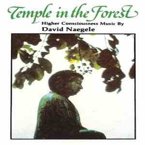 David Naegele - Temple In The Forest album flac
