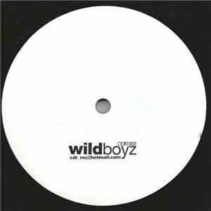 Duran Duran - Wild Boyz album flac
