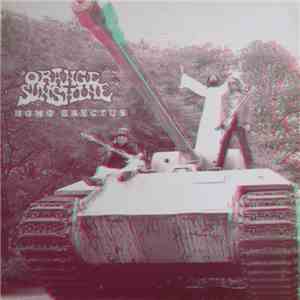 Orange Sunshine - Homo Erectus album flac