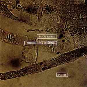 Pascal Battus, Alfredo Costa Monteiro - Ductile album flac