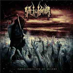 Salt for Knives - Conglomerate of Misery album flac