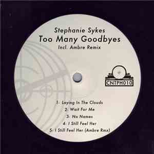 Stephanie Sykes - Too Many Goodbyes album flac
