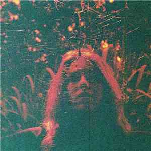 Turnover - Peripheral Vision album flac