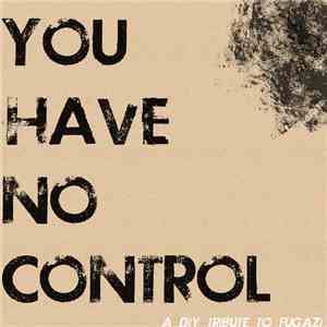 Various - You Have No Control - A DIY Tribute To Fugazi album flac