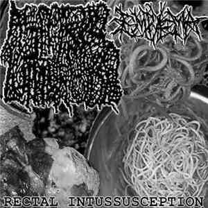 Empyema, Ascaris Lumbricoides - Rectal Intussusception album flac