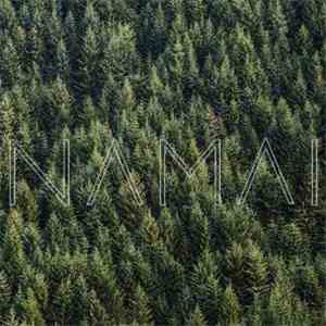 Kamanių Šilelis - Namai album flac