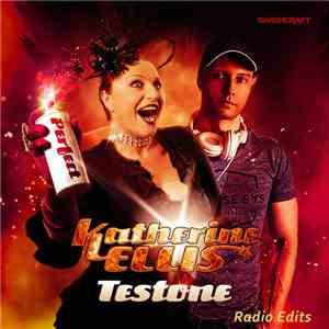 Katherine Ellis, Testone  - Perfect (Radio Edits) album flac