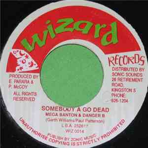 Mega Banton & Danger B - Somebody A Go Dead album flac