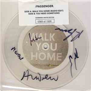 Passenger - Walk You Home album flac