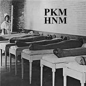 Please Kill Me / Harsh Noise Movement - Life: Failed album flac