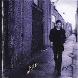 Richie Kotzen - What Is ... album flac