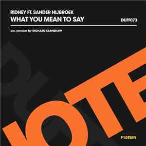 Ridney Ft. Sander Nijbroek - What You Mean To Say album flac
