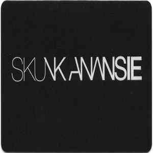 Skunk Anansie - I've Had Enough album flac