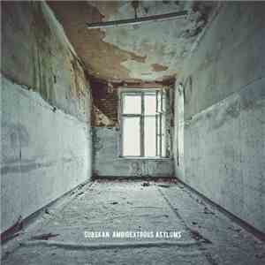 Subskan - Ambidextrous Asylums album flac
