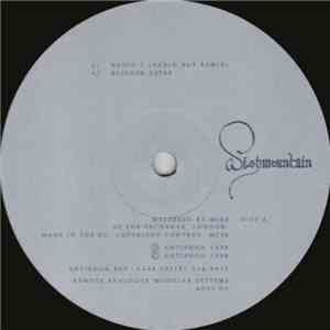 Wishmountain - Radio 2 album flac