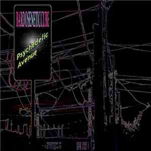 Bardoseneticcube - Psychedelic Avenue album flac