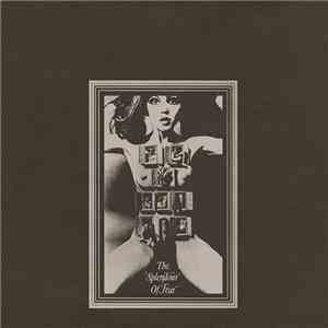 Felt - The Splendour Of Fear album flac