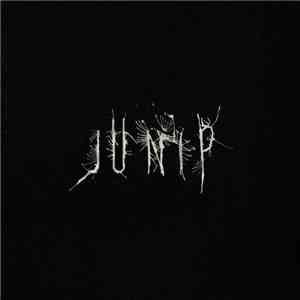 Junip - Junip album flac