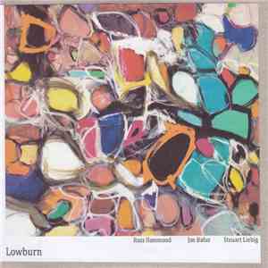 Ross Hammond , Jon Bafus, Steuart Liebig - Lowburn album flac