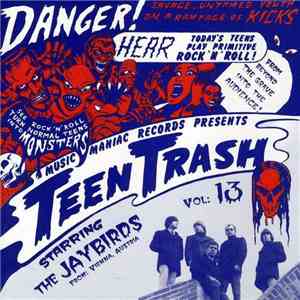 The Jaybirds  - Teen Trash Vol. 13 album flac