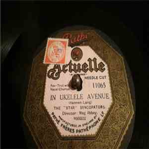 The "Star" Syncopators - In Ukulele Avenue / Susie Was A Real Wild Child album flac