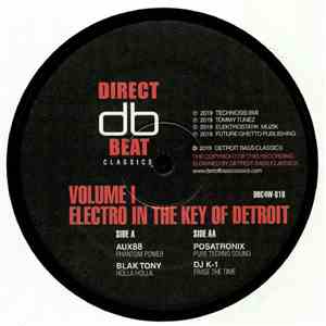 Various - Electro In The Key Of Detroit Volume 1 album flac