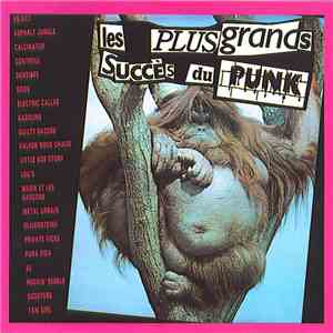 Various - Les Plus Grands Succès Du Punk album flac