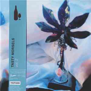 Various - Tasty Morsels Vol. 2 album flac