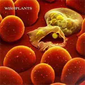Wishplants - Coma album flac