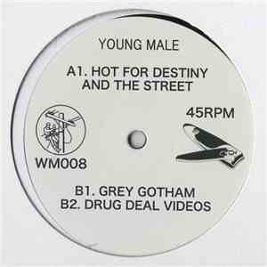 Young Male - Hot For Destiny And The Street album flac