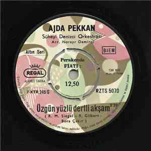 Ajda Pekkan - Son Arzu / Üzgün Yüzlü Dertli Akşam album flac