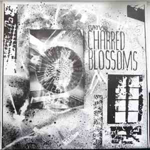 Cyrnai - Charred Blossoms album flac