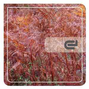 Dany Nijensohn - Fantasma EP album flac