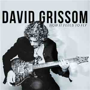 David Grissom - How It Feels To Fly album flac