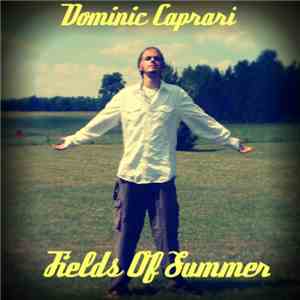 Davino - Fields Of Summer album flac
